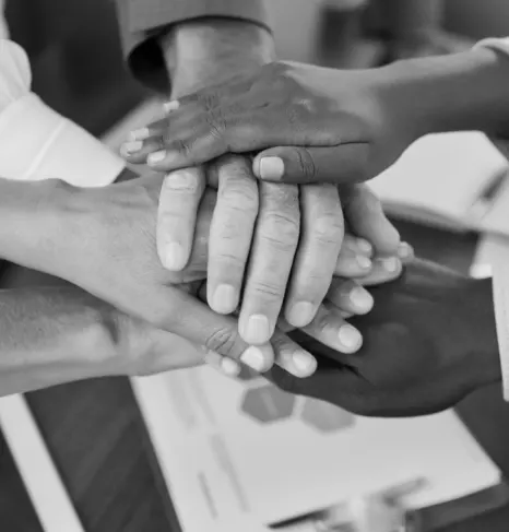 Honesty, Integrity, Professionalism