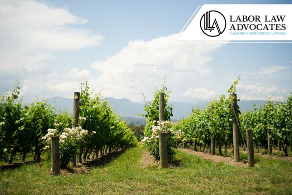 salarios impagados y represalias