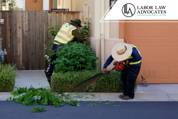 Jardineros trabajando